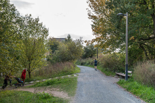 Een jogger in het park L28