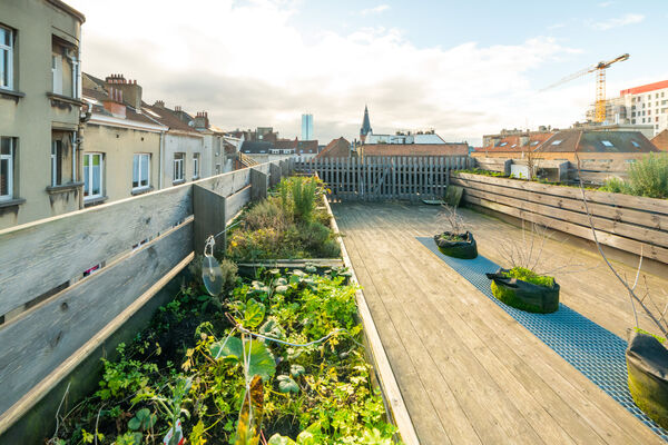 Projet Casa Viva : jardin sur le toit